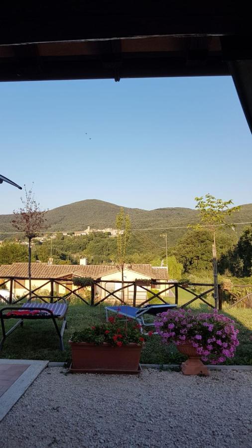 B&B La Casetta Di Lilly Amelia Luaran gambar